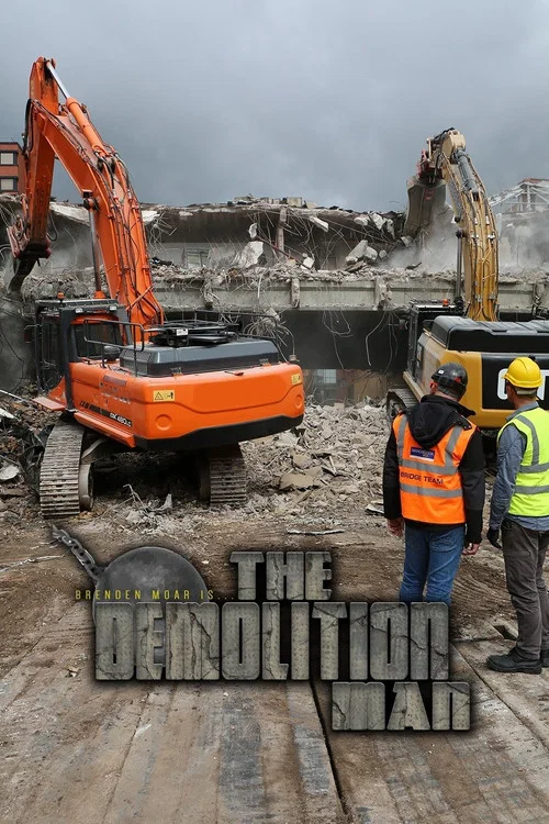 The Demolition Man постер