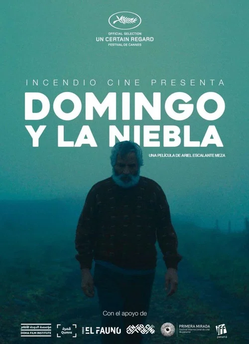 Domingo y la niebla постер