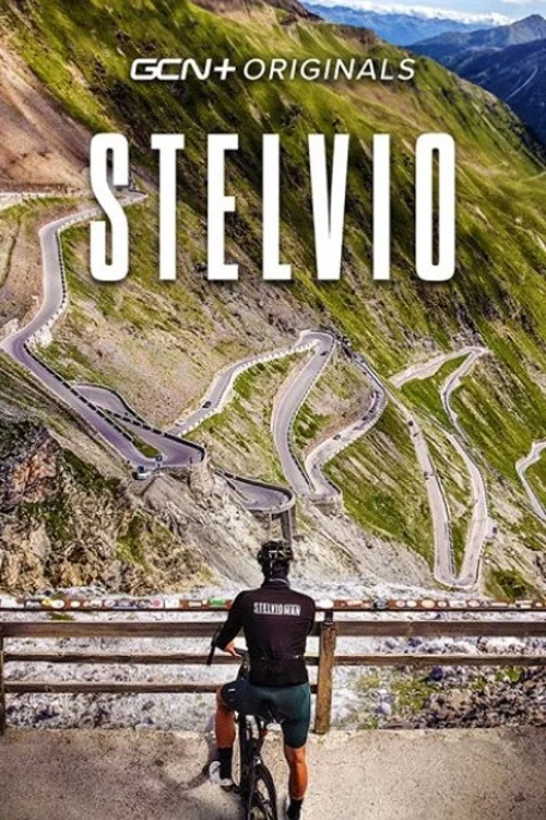 Stelvio постер