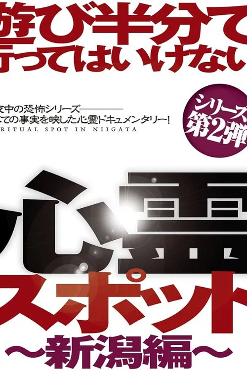 遊び半分で行ってはいけない心霊スポット ～新潟編～ постер