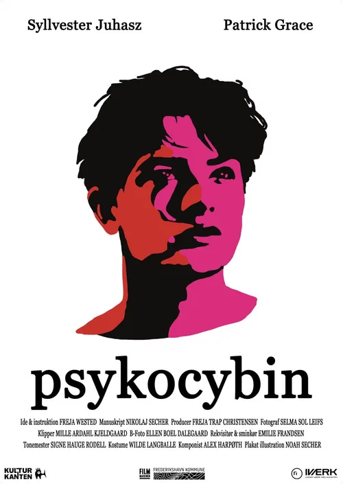 Psykocybin постер
