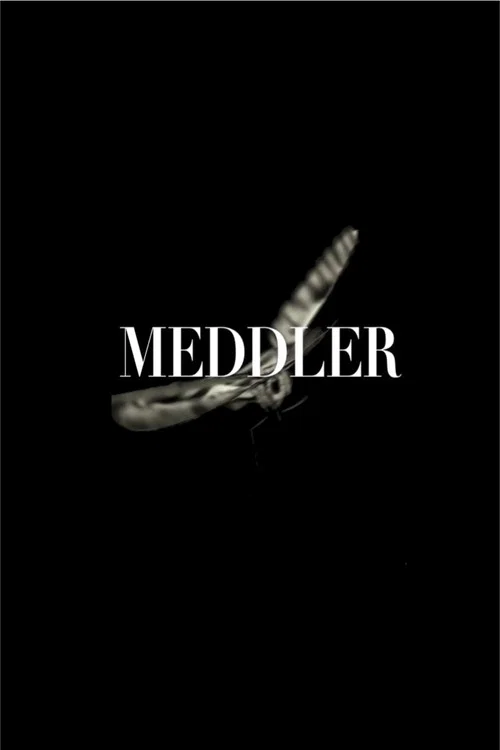 Meddler постер