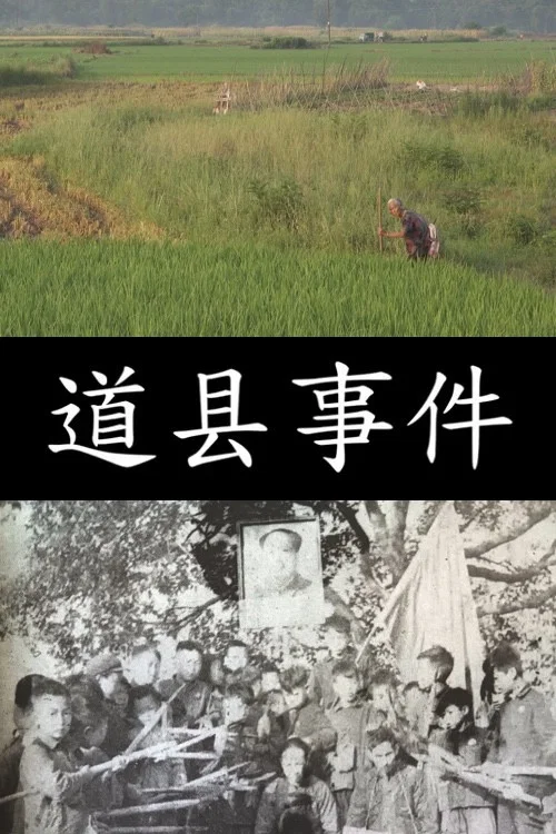 道县事件 постер