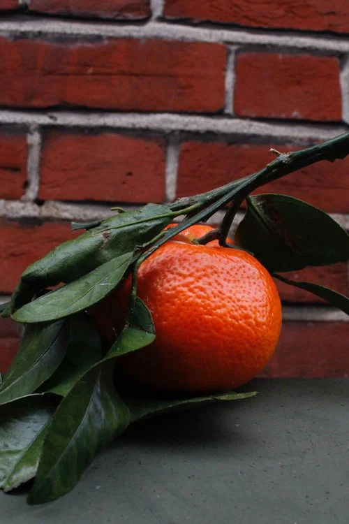 Orange Peel постер