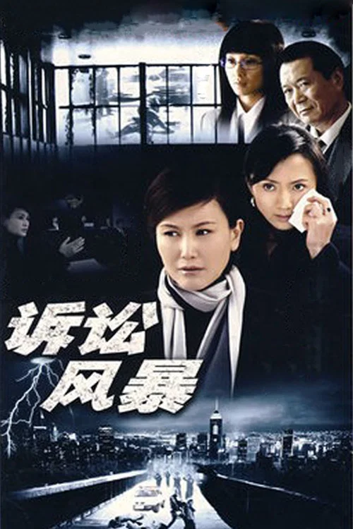 诉讼风暴 постер
