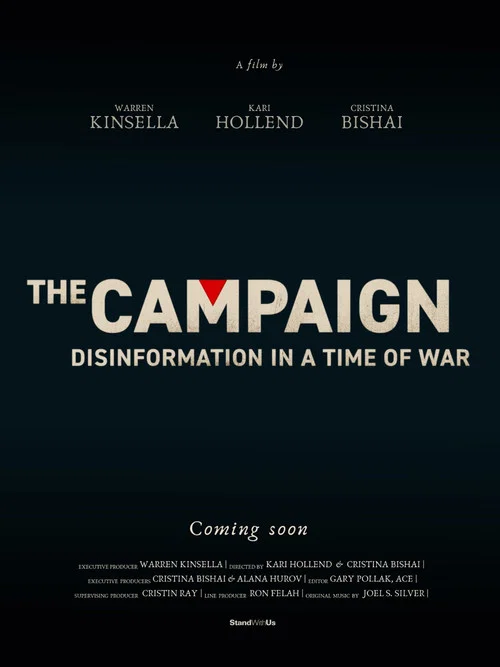 The Campaign постер