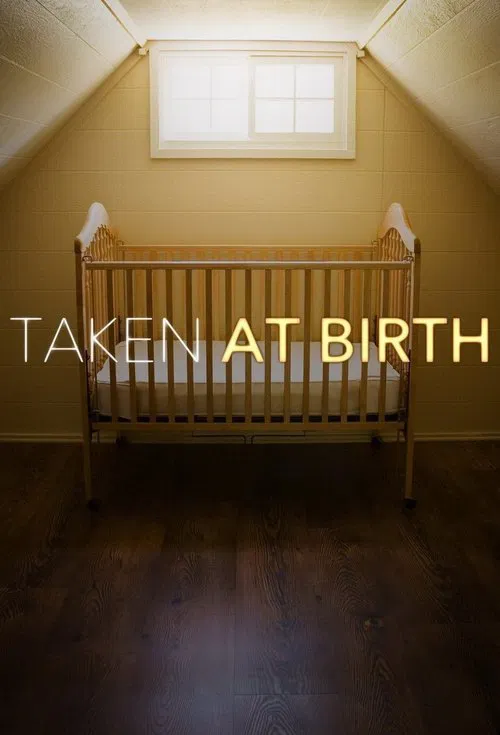 Taken at Birth постер