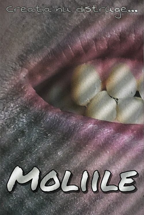 Moliile постер