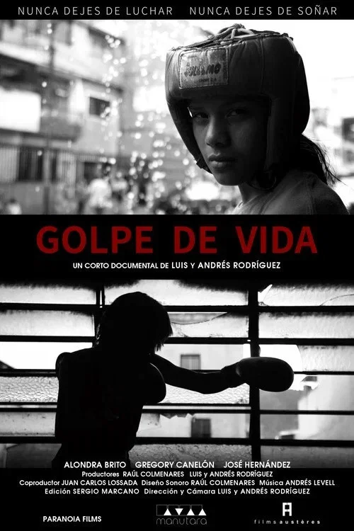 Golpe de vida постер