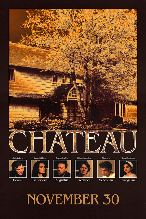 Château постер