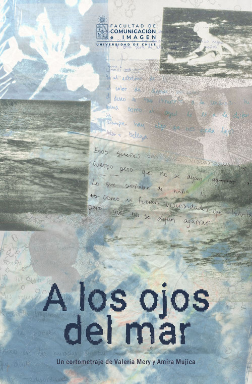 A los ojos del mar постер