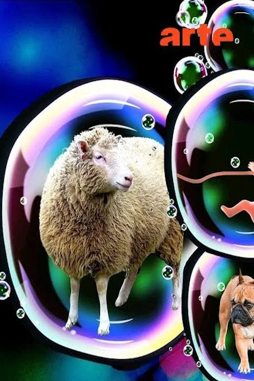 Dolly постер