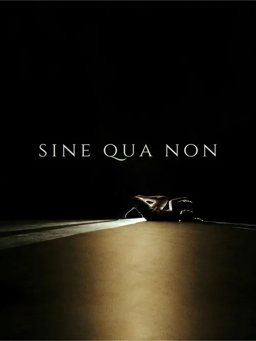 Sine Qua Non постер