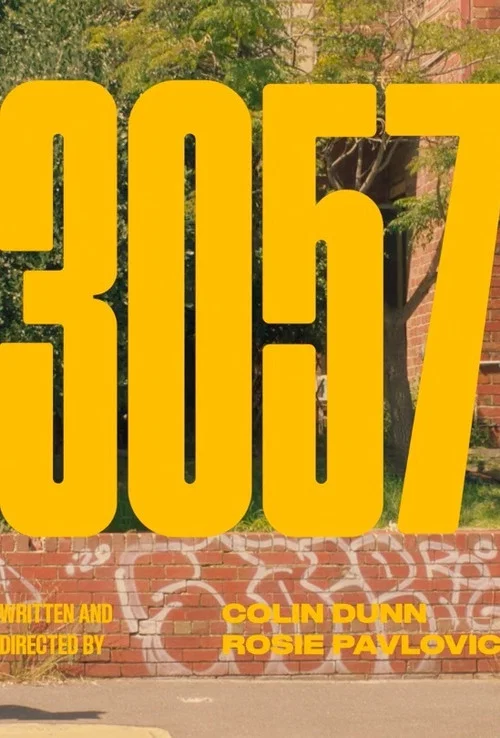 3057 постер