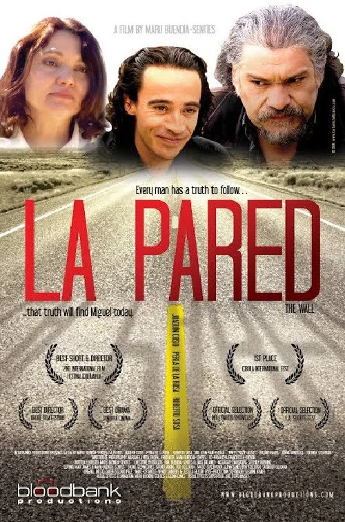 La Pared постер