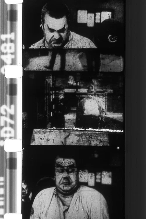 The Big Stick / An Old Reel постер
