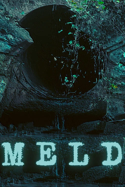 Meld постер