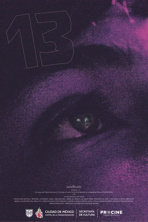 13 постер