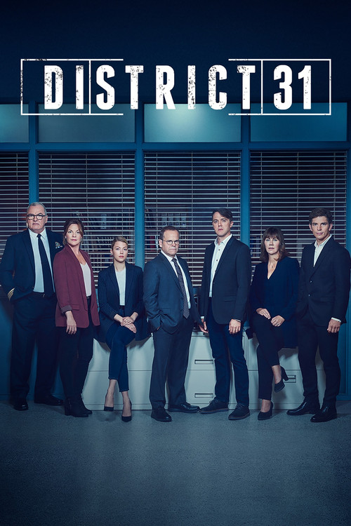 District 31 постер