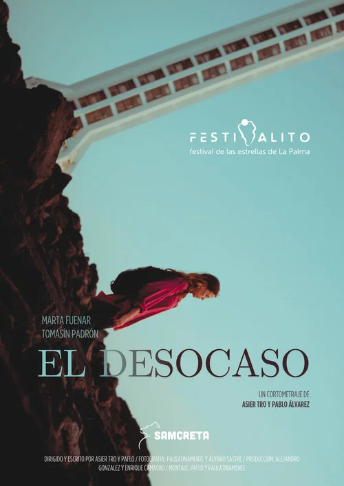 El Desocaso постер