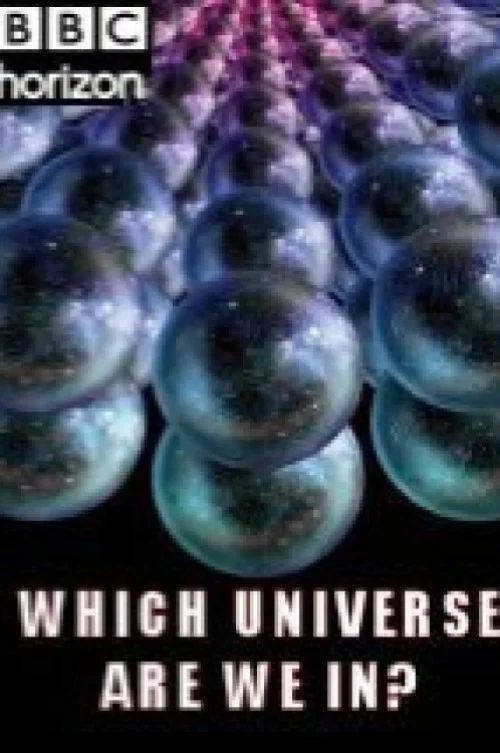 Horizon: Which Universe Are We In? постер
