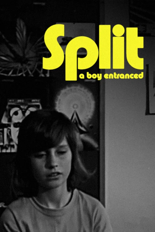 Split постер