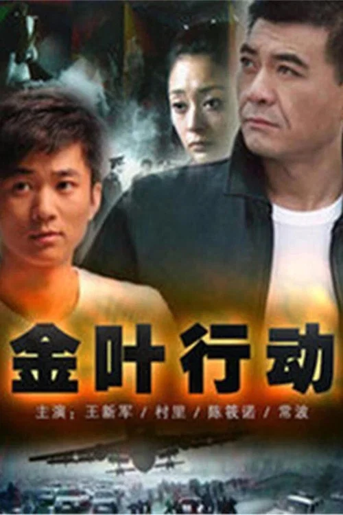 金叶行动 постер