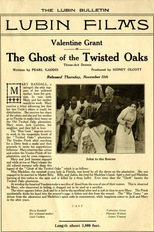 The Ghost of Twisted Oaks постер