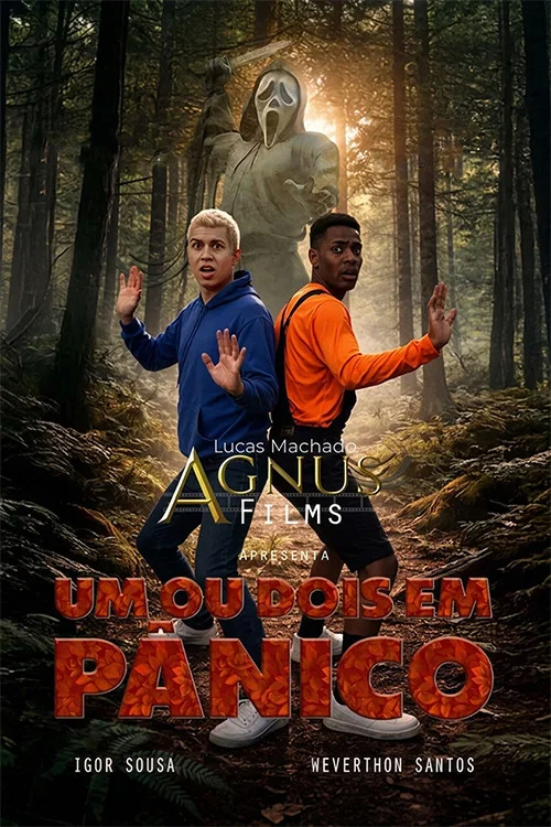 Um ou Dois em Pânico постер
