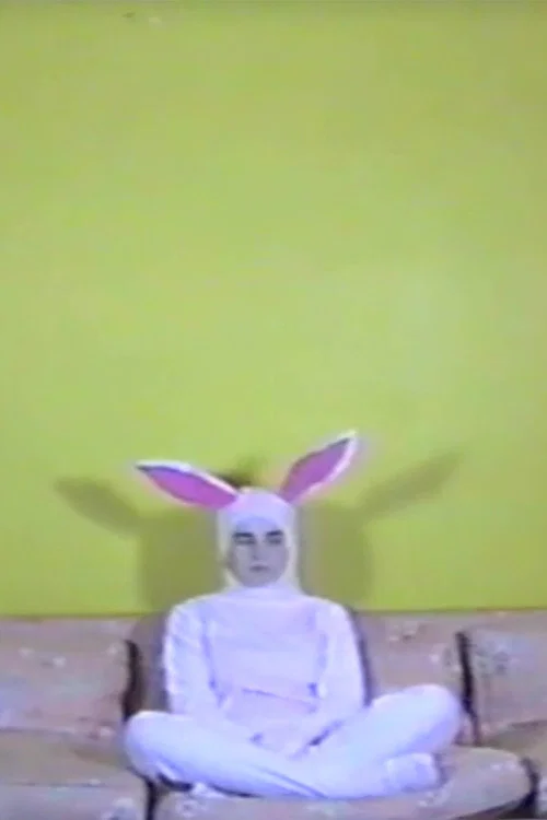Caught in a Trap постер