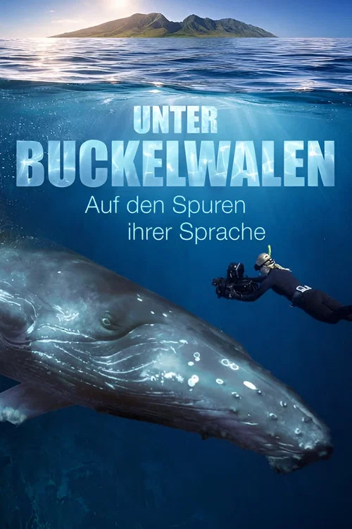 Unter Buckelwalen - Auf den Spuren ihrer Sprache постер