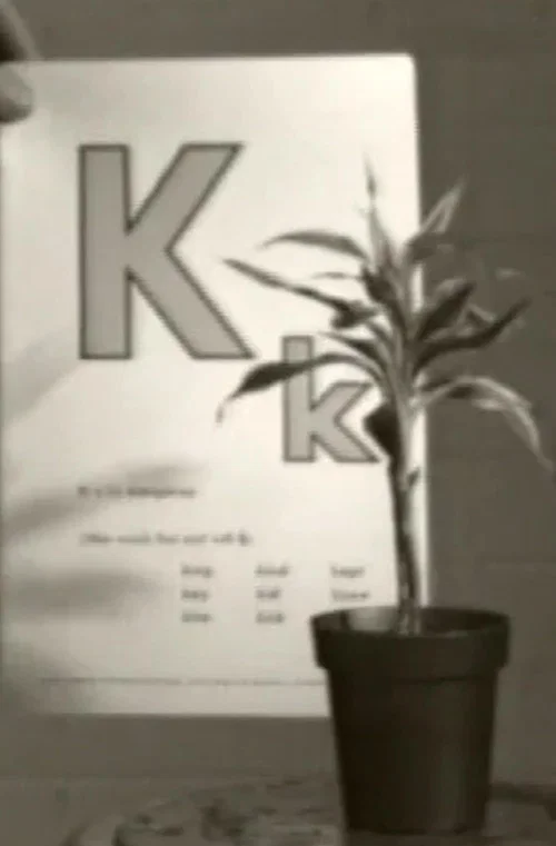 Teaching a Plant the Alphabet постер