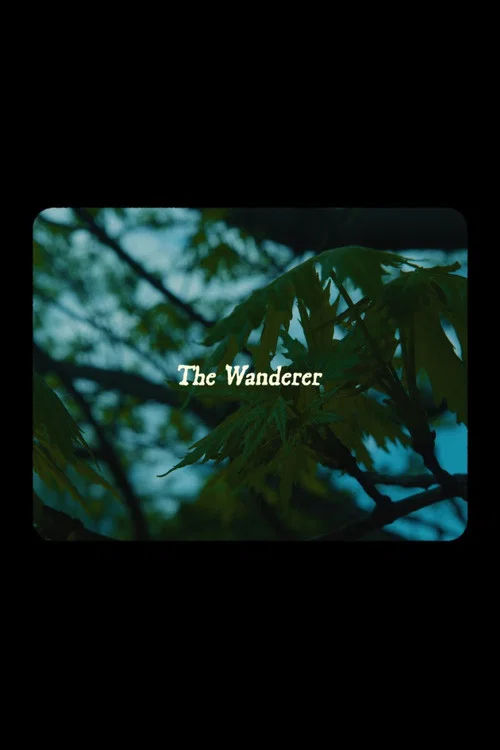 The Wanderer постер