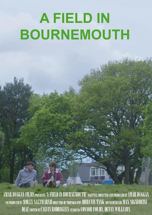 A Field in Bournemouth постер