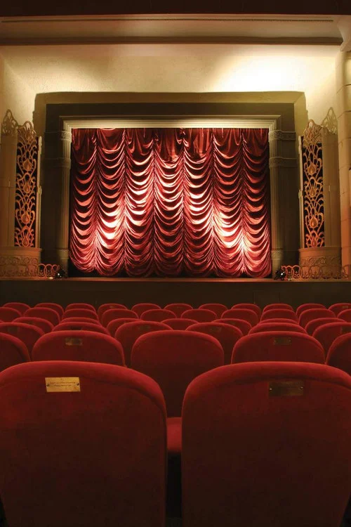 The Dream Palace: A People's History of Tyneside Cinema постер