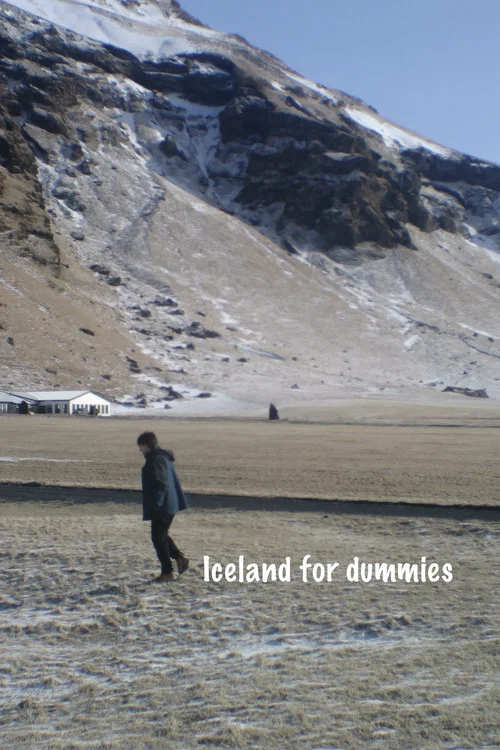 Iceland for Dummies постер