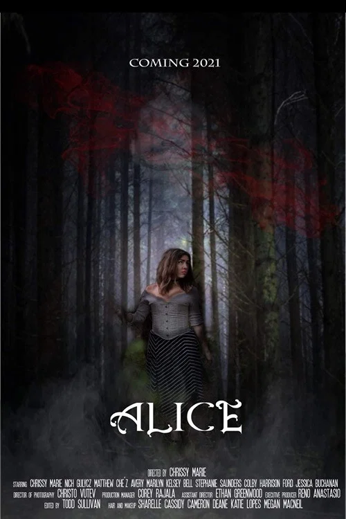 Alice постер