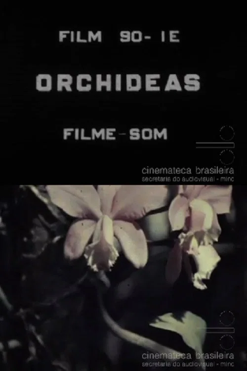 Orquídeas постер