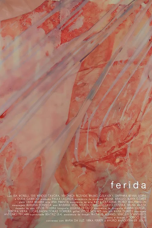 Ferida постер