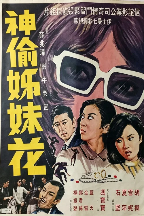 神偷姊妹花 постер
