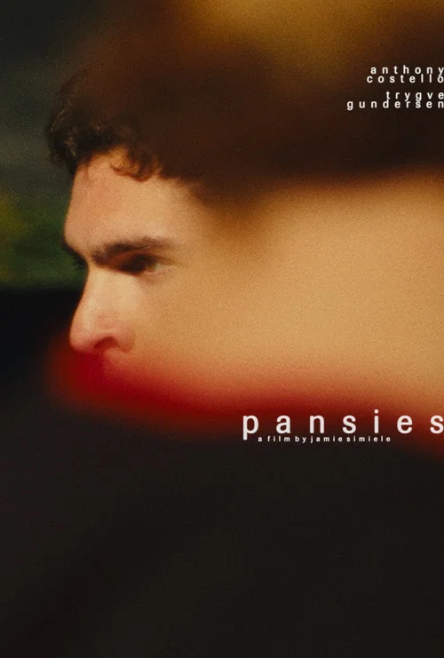pansies постер