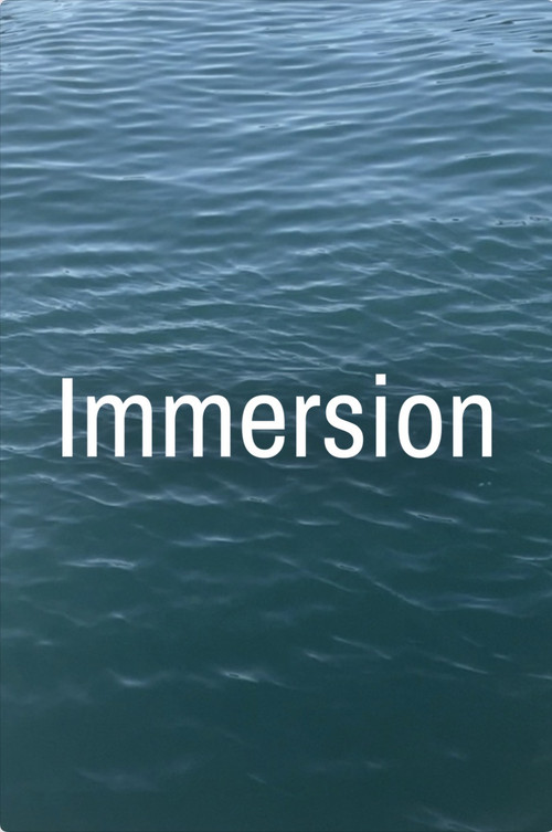 Immersion постер