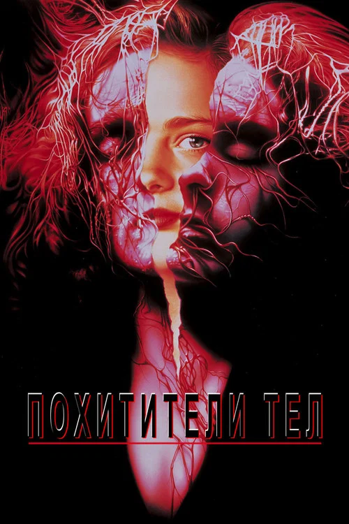 Похитители тел постер