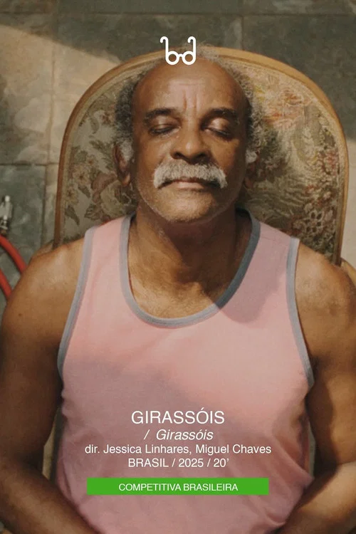 Girassóis постер