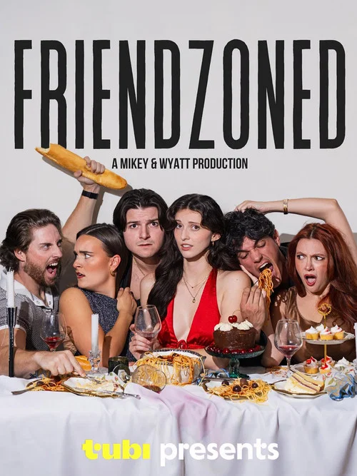 Friendzoned постер