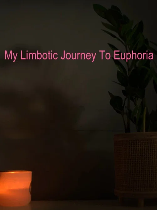 My Limbotic Journey To Euphoria постер