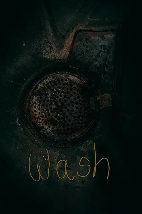 Wash постер