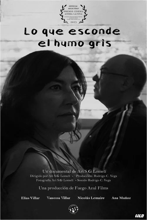 Lo que esconde el humo gris постер