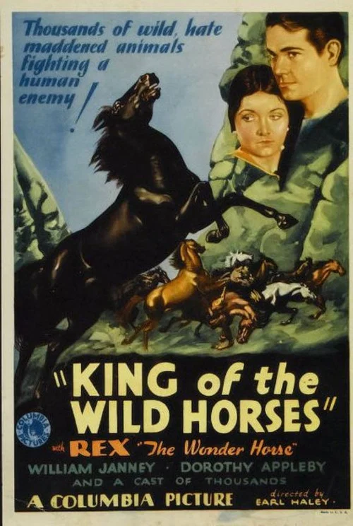 King of the Wild Horses постер