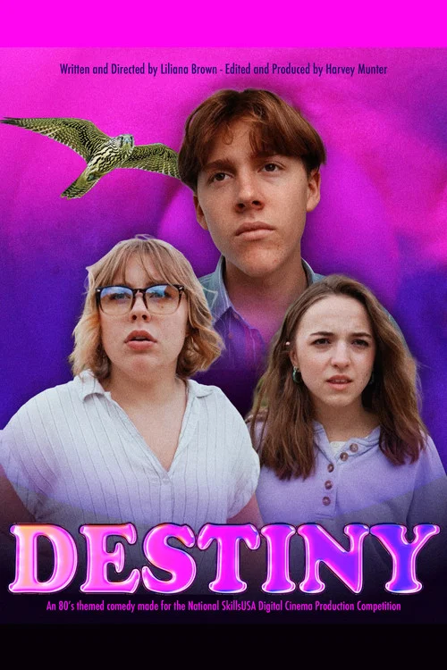 Destiny постер